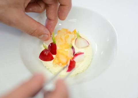 El Arte de la Gastronomía Minimalista en el siglo XXI