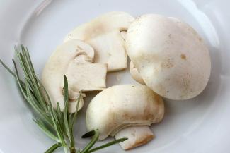 Champiñón común Agaricus bisporus