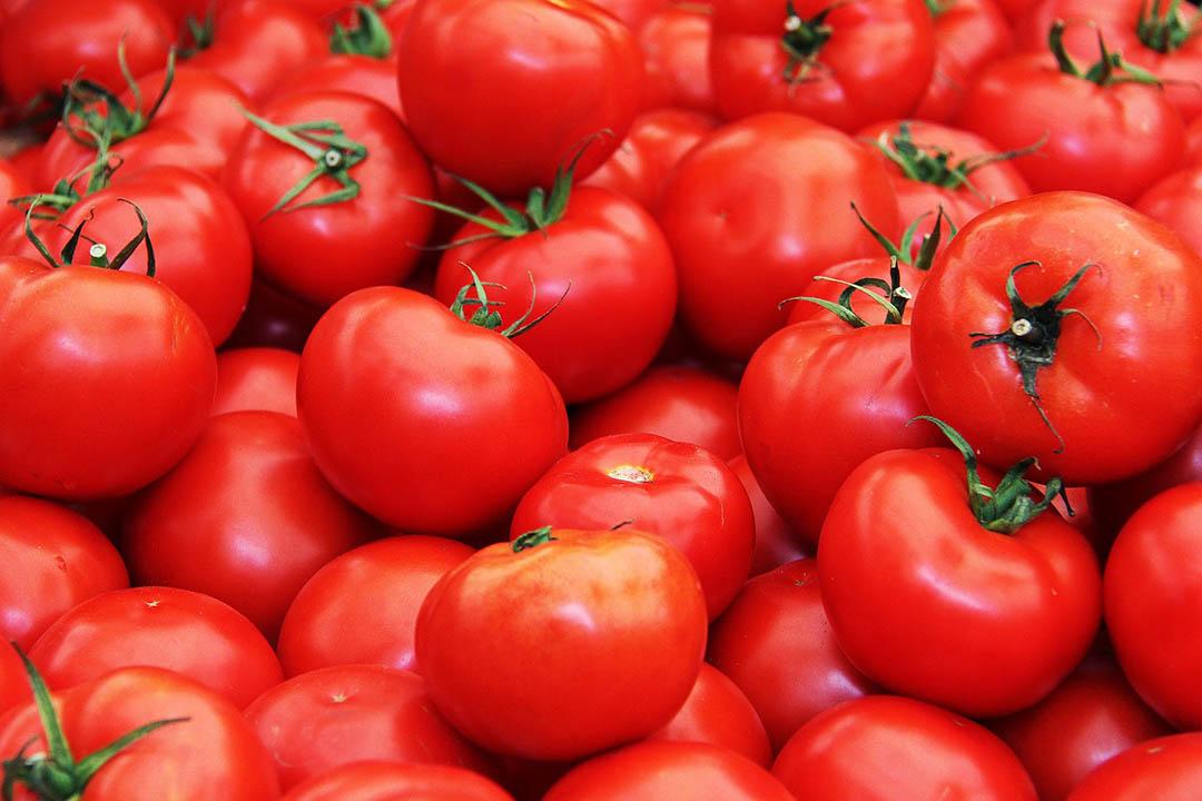 Origen del Indispensable Tomate
