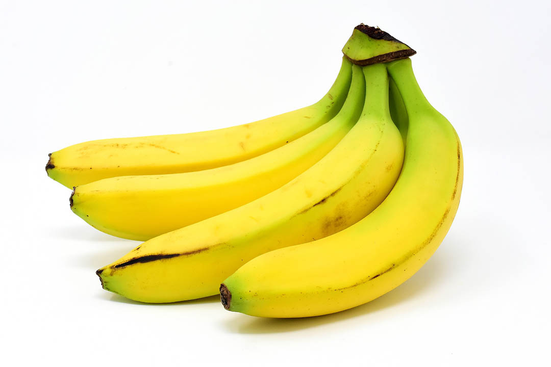 Banano y Plátano - Musa X Paradisiaca
