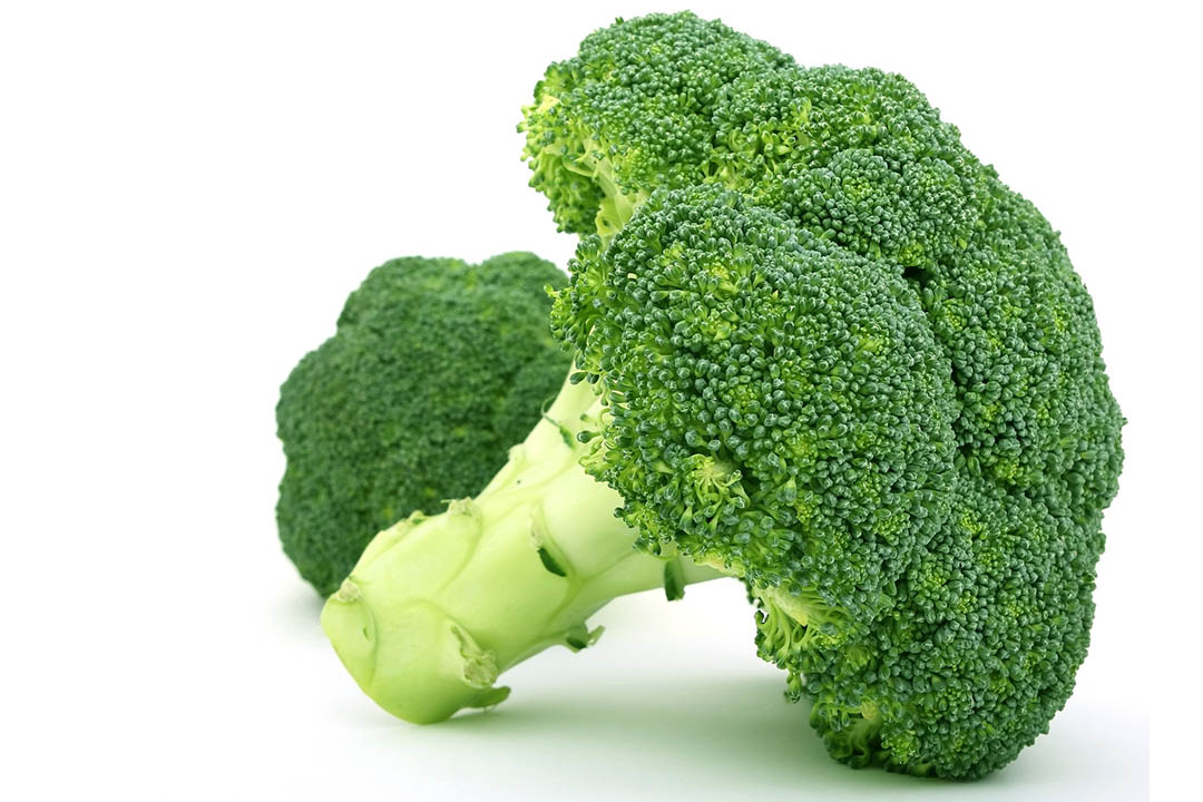 Brócoli – Brassica oleracea italica