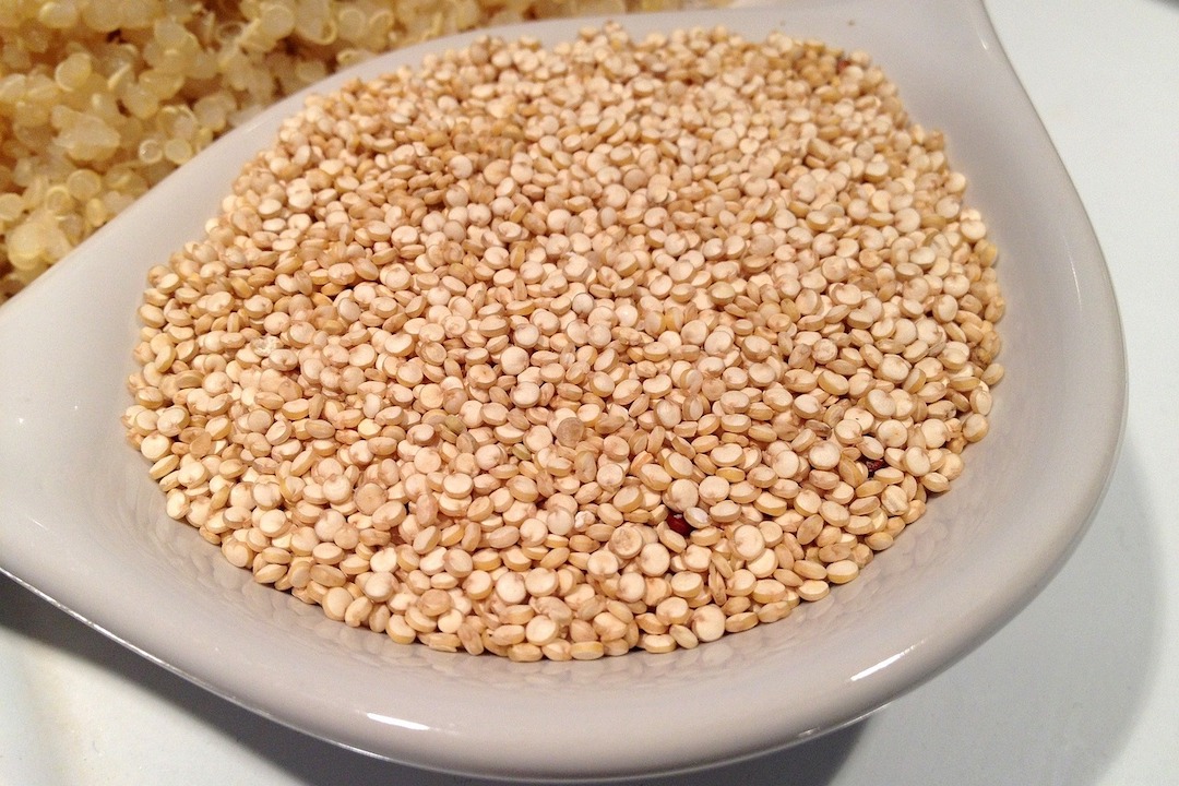 Quinua / Quinoa - Chenopodium quinoa